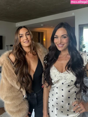 The Bella Twins: [ the-bella-twins ] - A few more fun snaps, do you like my skirt? 😏  This plug is a bit