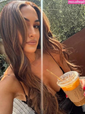 The Bella Twins: [ the-bella-twins ] - Eyes down here mister. Happy Titty Tuesday!