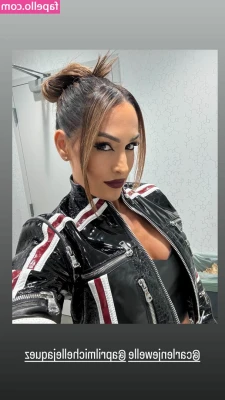The Bella Twins: [ the-bella-twins ] - Private Collection Inside