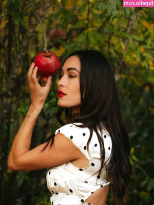 The Bella Twins: [ the-bella-twins ] - would you fuck a succubus?