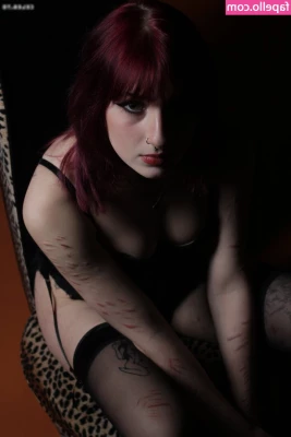 ur_favorite_kitten [ ur-favorite-kitten-1 ] - Saturday Night Live