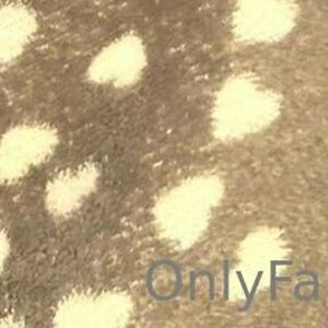 queeen_p