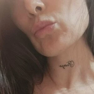 mona_model