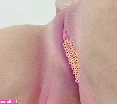 Carniello [ carniello-1 ] - Tits out