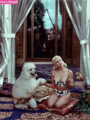 Madonna - See the tiny!? He’s the lucky one. Let’s just say the others are