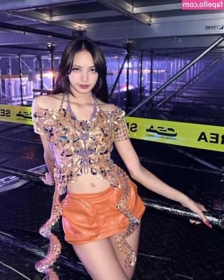 Lisa [ lisa-1 ] - Happy Anniversary to ME      I m celebrating one year of making adult