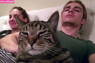 Alison Brie [ alison-brie ] - Red light special on Titty Tuesday