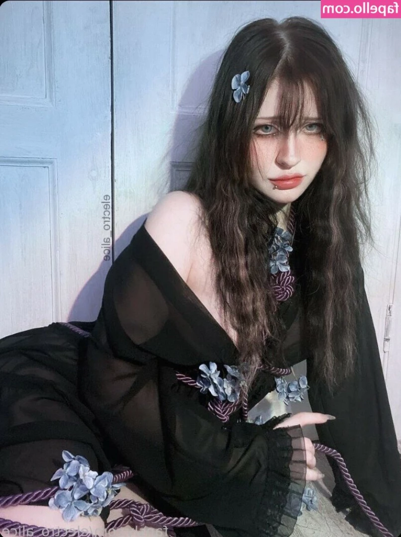 Electro Alice [ electro-alice ] - dear diary lol