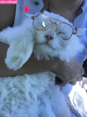 bsyk9294 - Want more bush and pussy