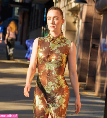 Saoirse Ronan [ saoirse-ronan ] - If we reach the Goal I will go live for a show , muscle , flexing and