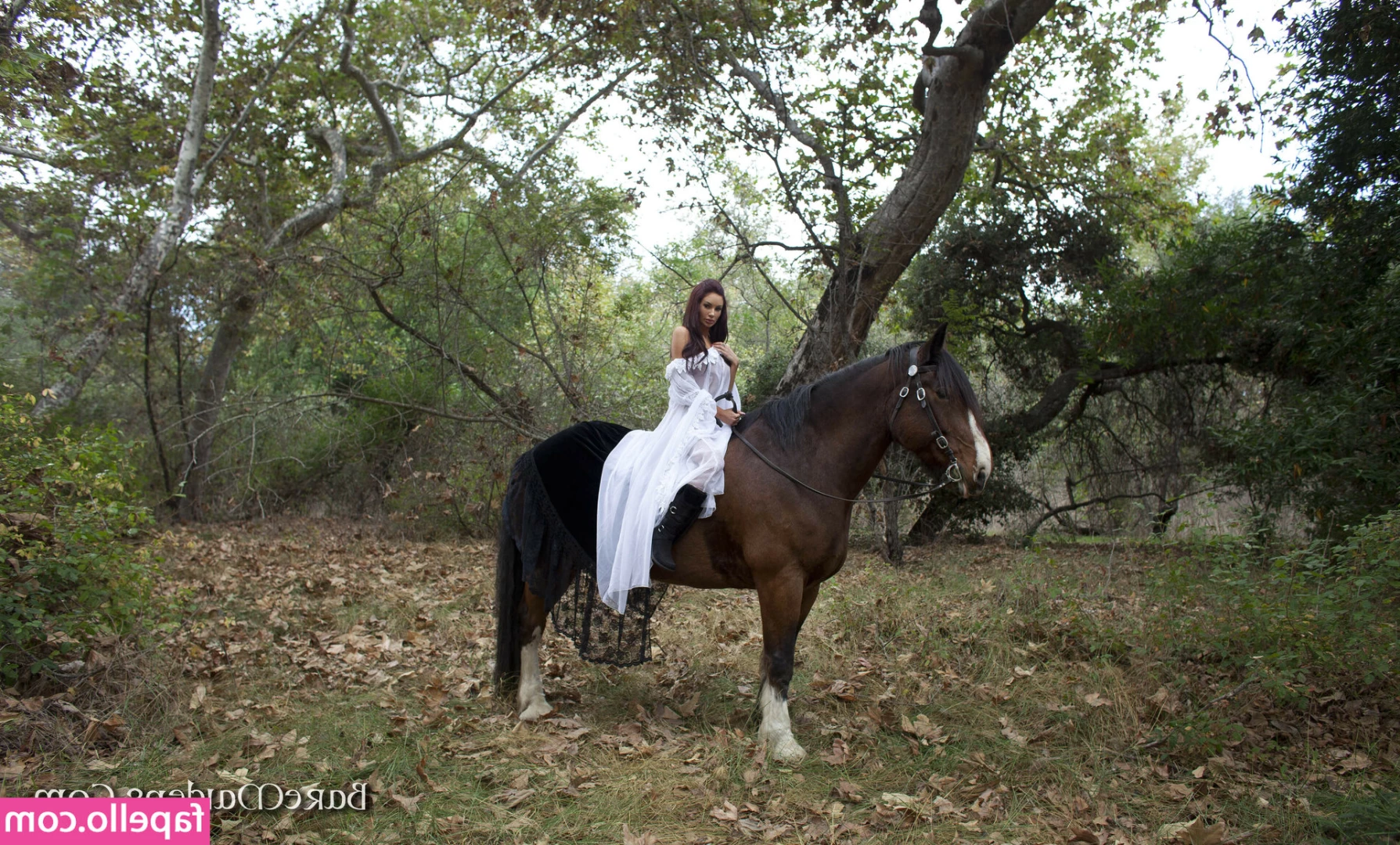 Amy Reid [ amy-reid ] - Some sneaky pics for you