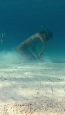 Lauren Landers [ lauren-landers ] - Tits looked too good not to post