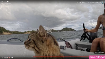 Lauren Landers [ lauren-landers ] - Would you buy me a drink if I waved to you? 👋