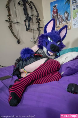 purplehuskymurr - Enjoying the view