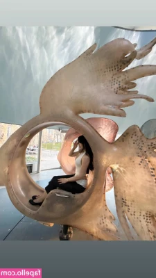 Lilchiipmunk - Would you cum on my face? 🥰