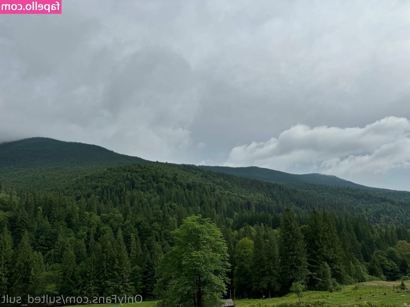 sulted_sult [ sulted-sult ] - Do you like a nice and sloppy blow job 🍆💦💦