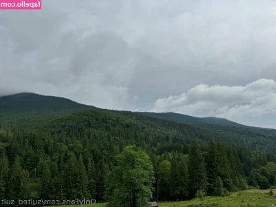 sulted_sult [ sulted-sult ] - Do you like a nice and sloppy blow job 🍆💦💦