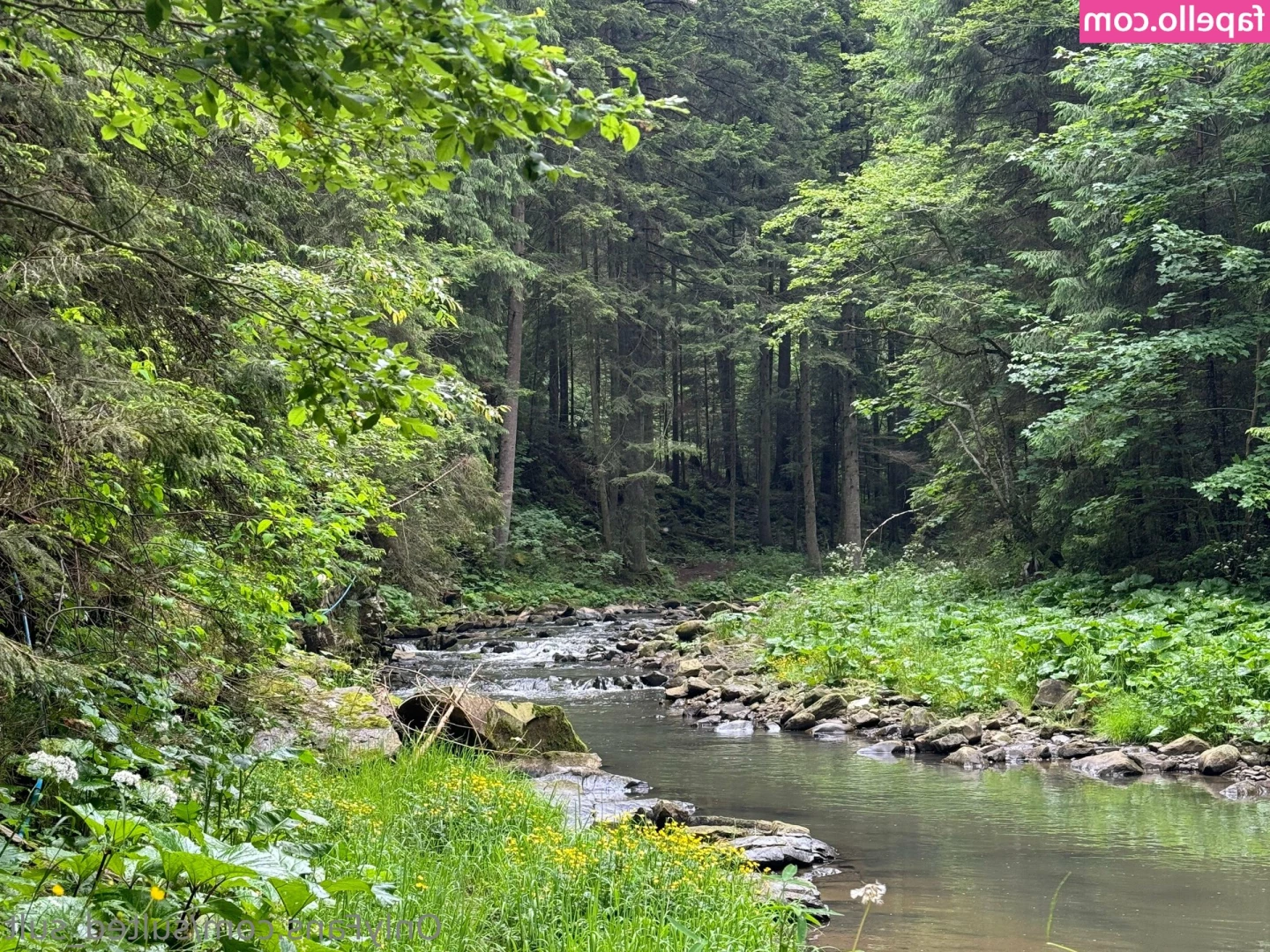 sulted_sult [ sulted-sult ] - Comfy pants trilogy - 3 of 3