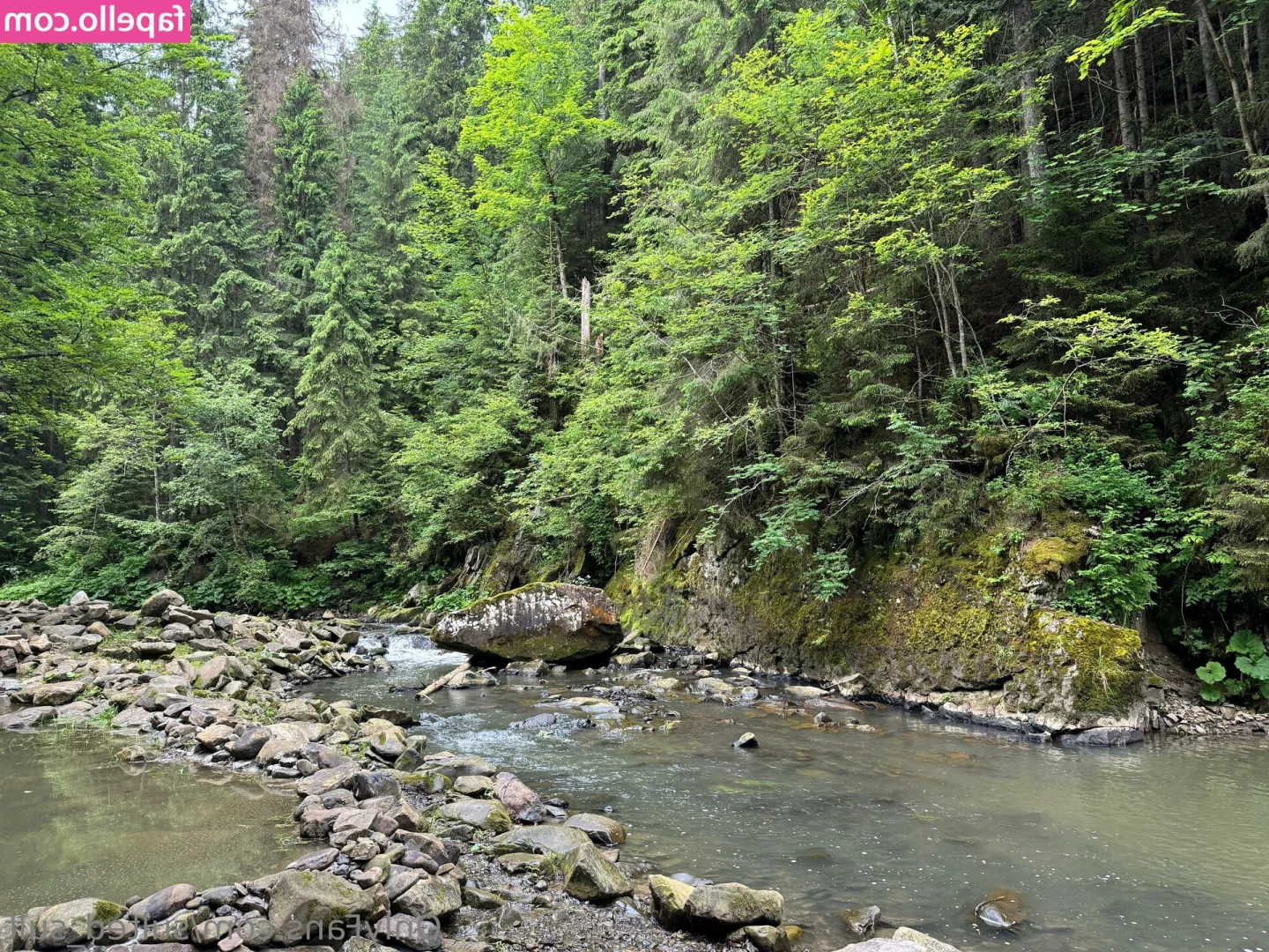 sulted_sult [ sulted-sult ] - I think I left something behind