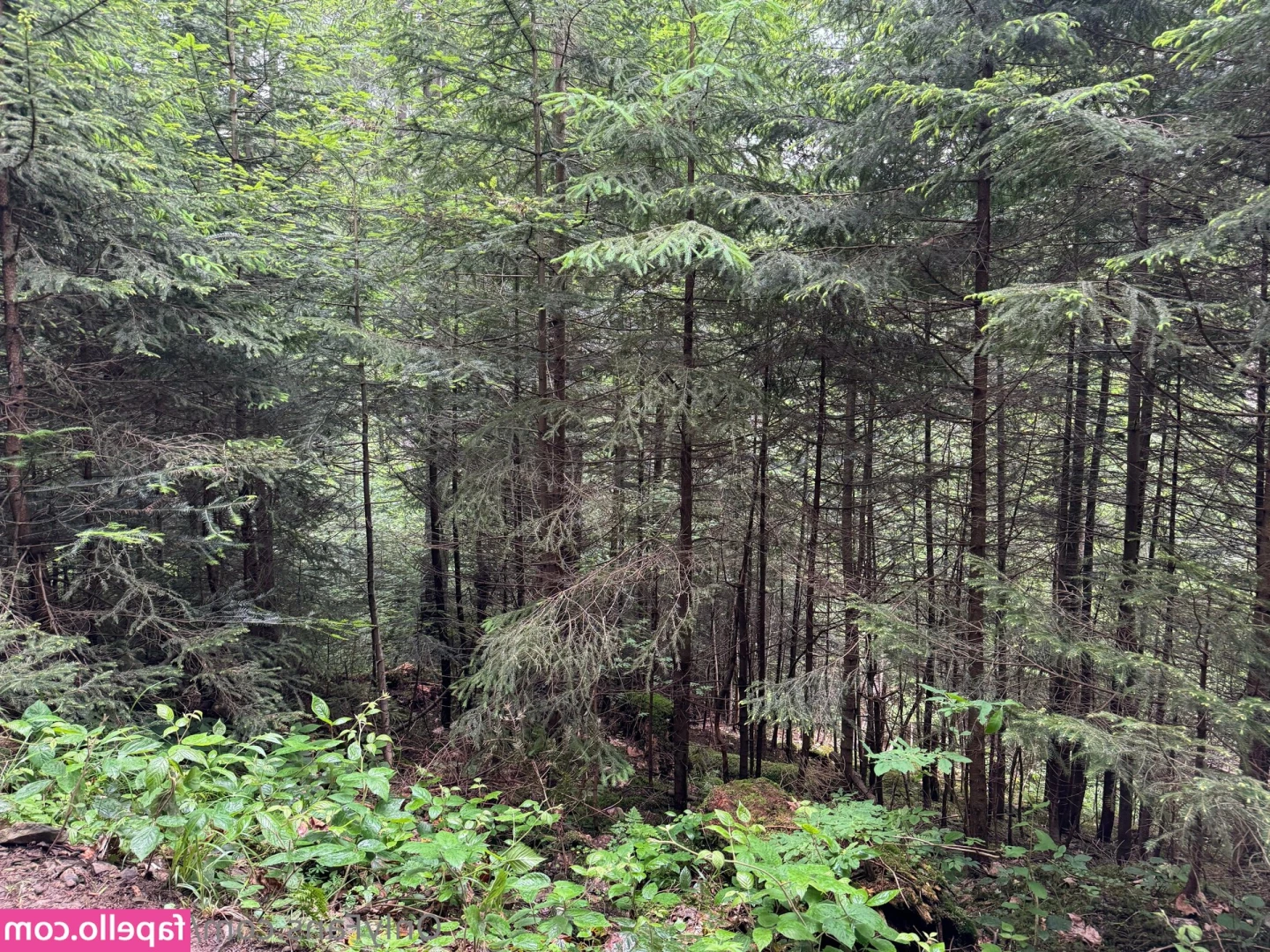 sulted_sult [ sulted-sult ] - Happy Thanksgiving! The pies are ready!!! I’ll be enjoying them