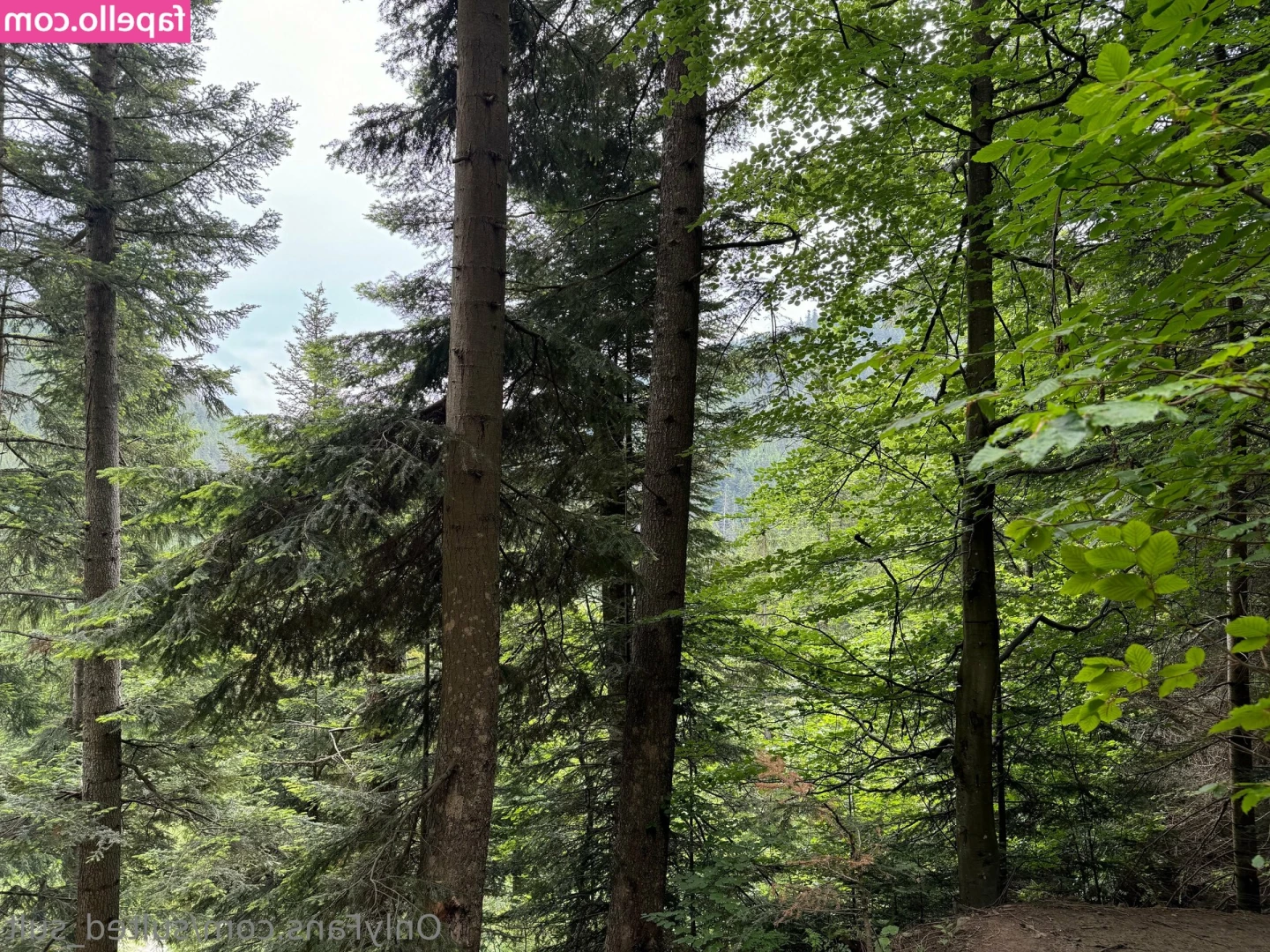 sulted_sult [ sulted-sult ] - Which one are you going to be for me tonight.... message me with