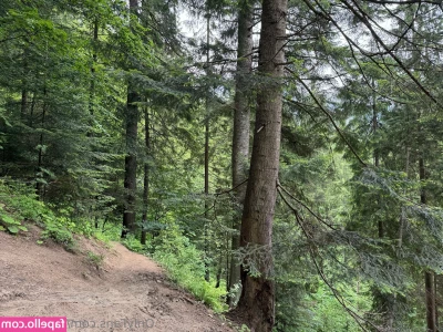 sulted_sult [ sulted-sult ] - FREE  november_24k  FREE  november_24k  Hi baby   november_24k is