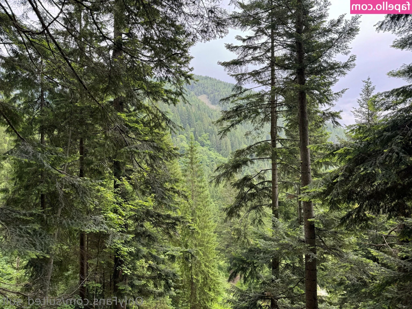 sulted_sult [ sulted-sult ] - Something special for my fans  Check your inbox for sensual video