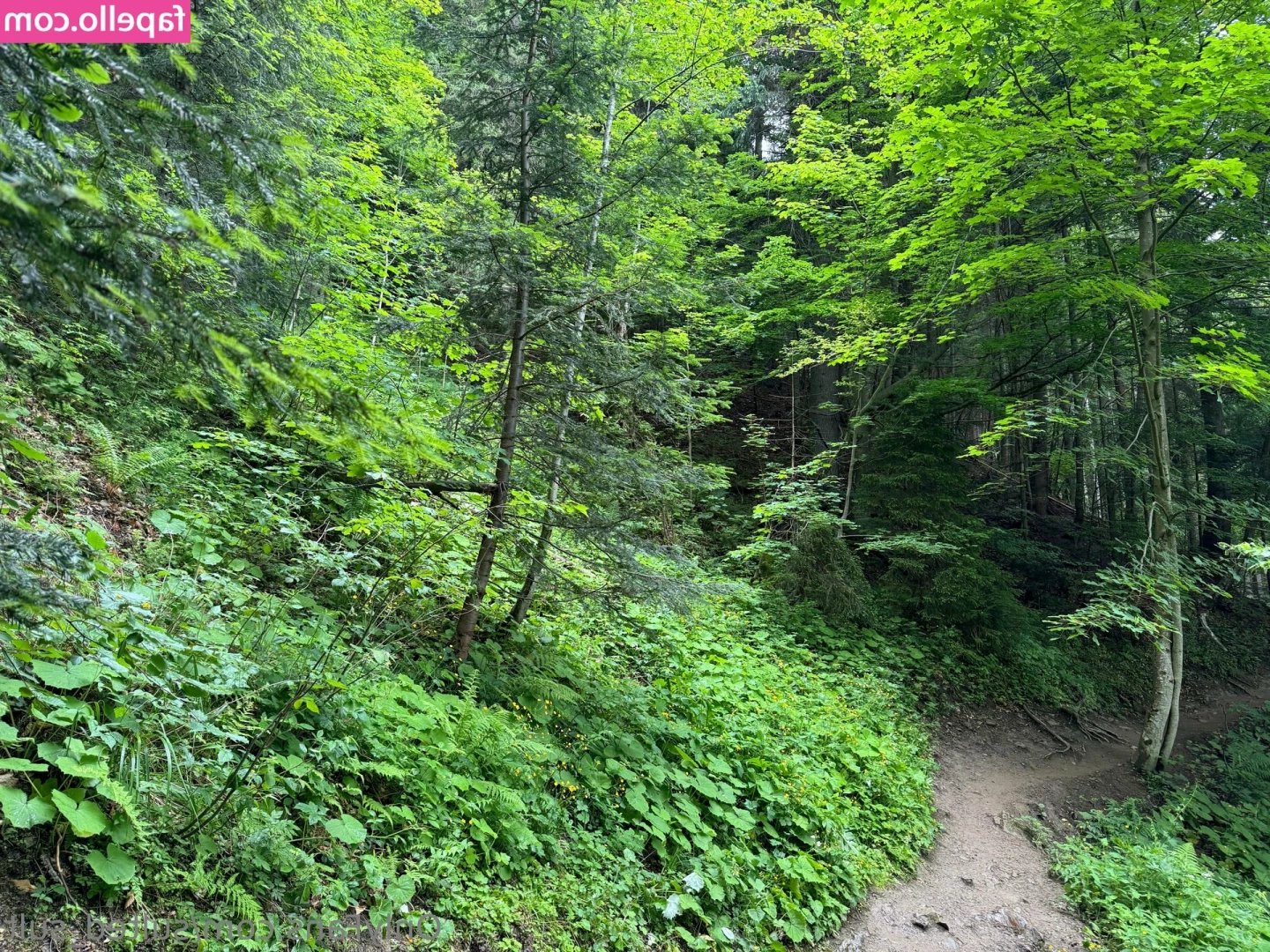 sulted_sult [ sulted-sult ] - Love my tits