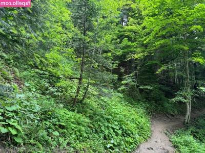 sulted_sult [ sulted-sult ] - Love my tits