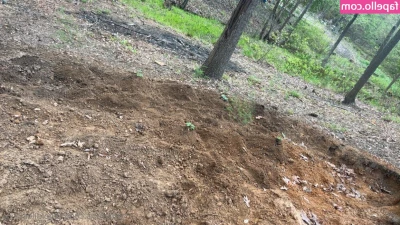 xxgoldilocksxx - Cum Pic these flowers