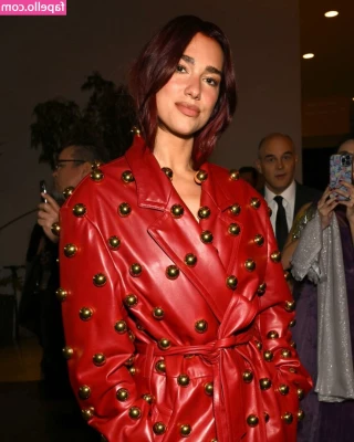 Dua Lipa [ dua-lipa ] - Should put this to good use part 1