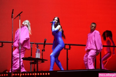 Dua Lipa [ dua-lipa ] - These big cheeks make soft and comfy face warmer