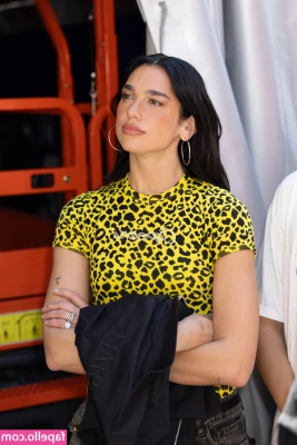 Dua Lipa [ dua-lipa ] - Totally new to this  Tell me what you d like to see and help me grow