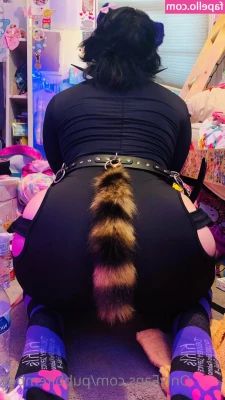 pubbifemboy - suck  lick and like my lollipop
