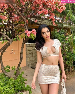 Meliskap - Feeling something tropical   time to book a trip   Where should I go
