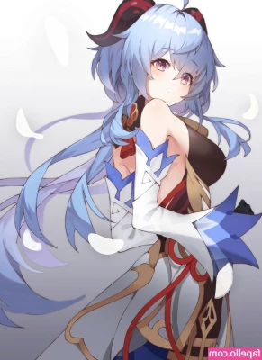 Genshin Impact [ genshin-impact ] - or