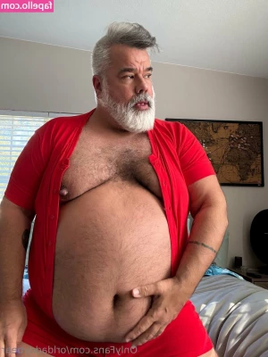 orldaddybear - I should be a Christmas kitty next