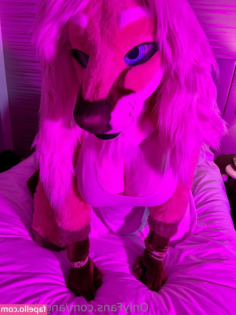 angel_pups [ angel-pups ] - What s everyone up too on this  Lovely  Wednesday part 1