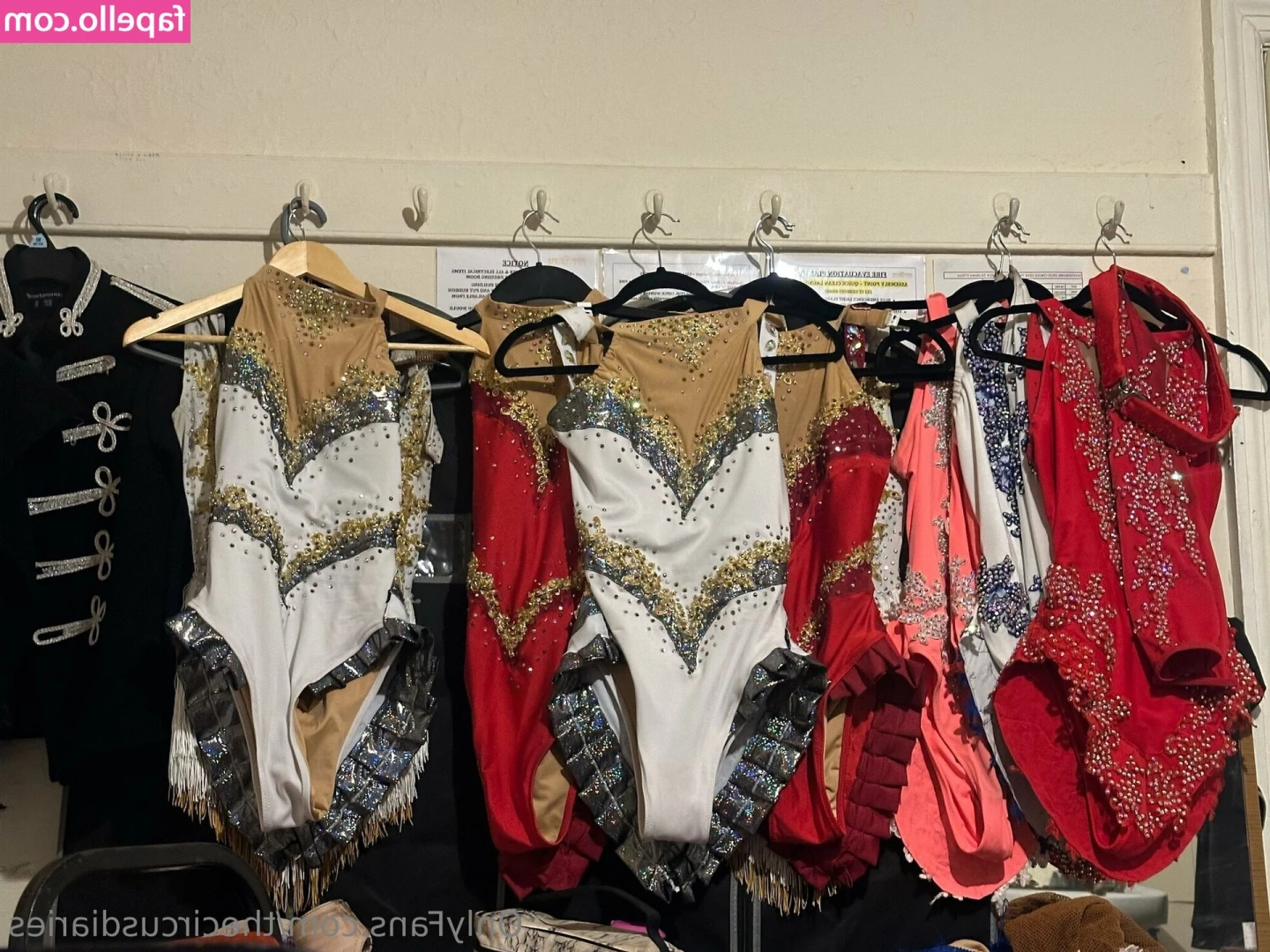 thecircusdiaries - I will be live on Twitch tonight  Nov 1st  at 6pm Pacific playing