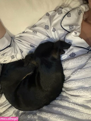 thecircusdiaries - I’m filming again Thursday (just me)… so submit your customs to