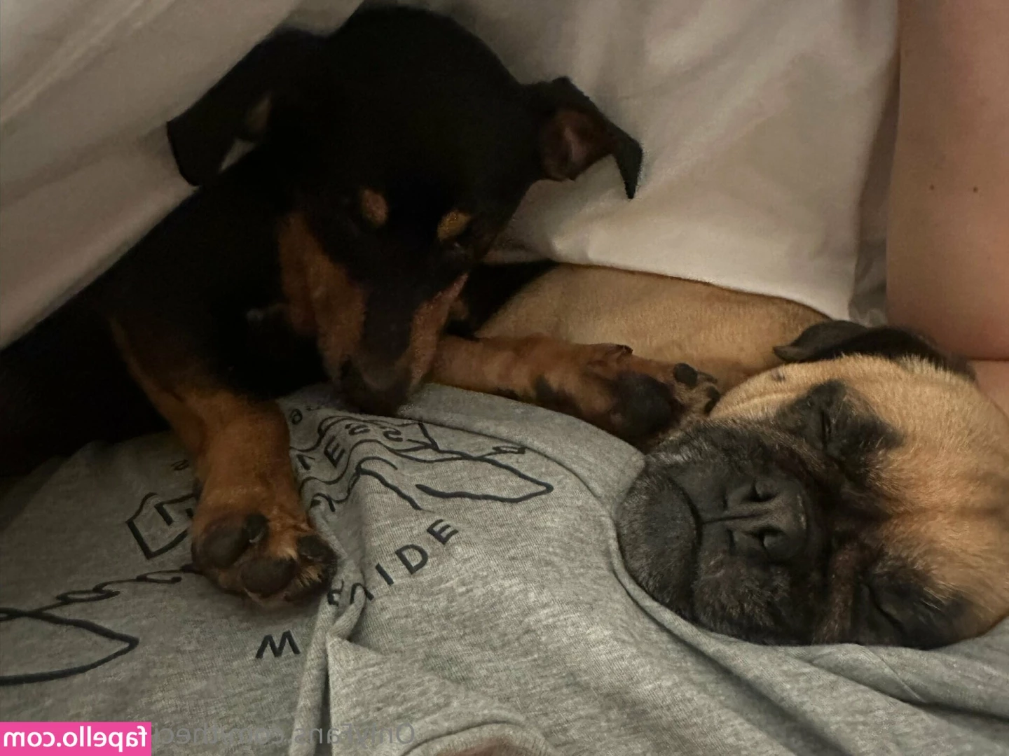 thecircusdiaries - Where are all the naughty little boys who need punished